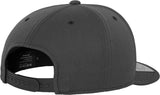 Flexfit By Yupoong 110 Fitted Snapback (110)