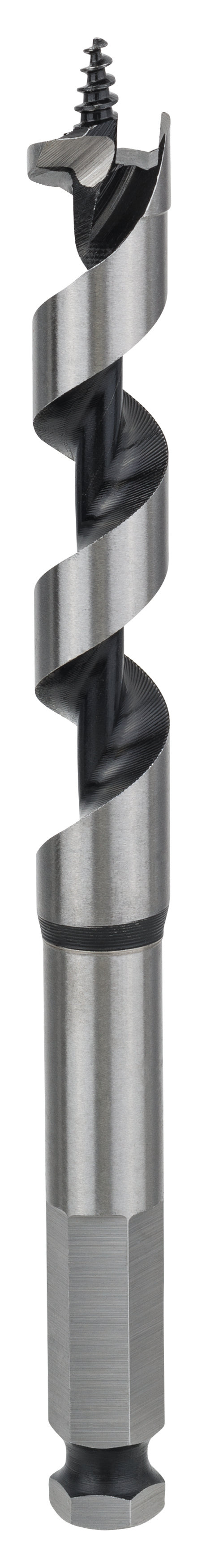 Bosch Professional Auger Bit - Hex Shank, 15mm x 100mm x 160mm