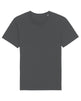 Stanley/Stella Rocker The Essential Unisex T-Shirt (Sttu758) - Anthracite