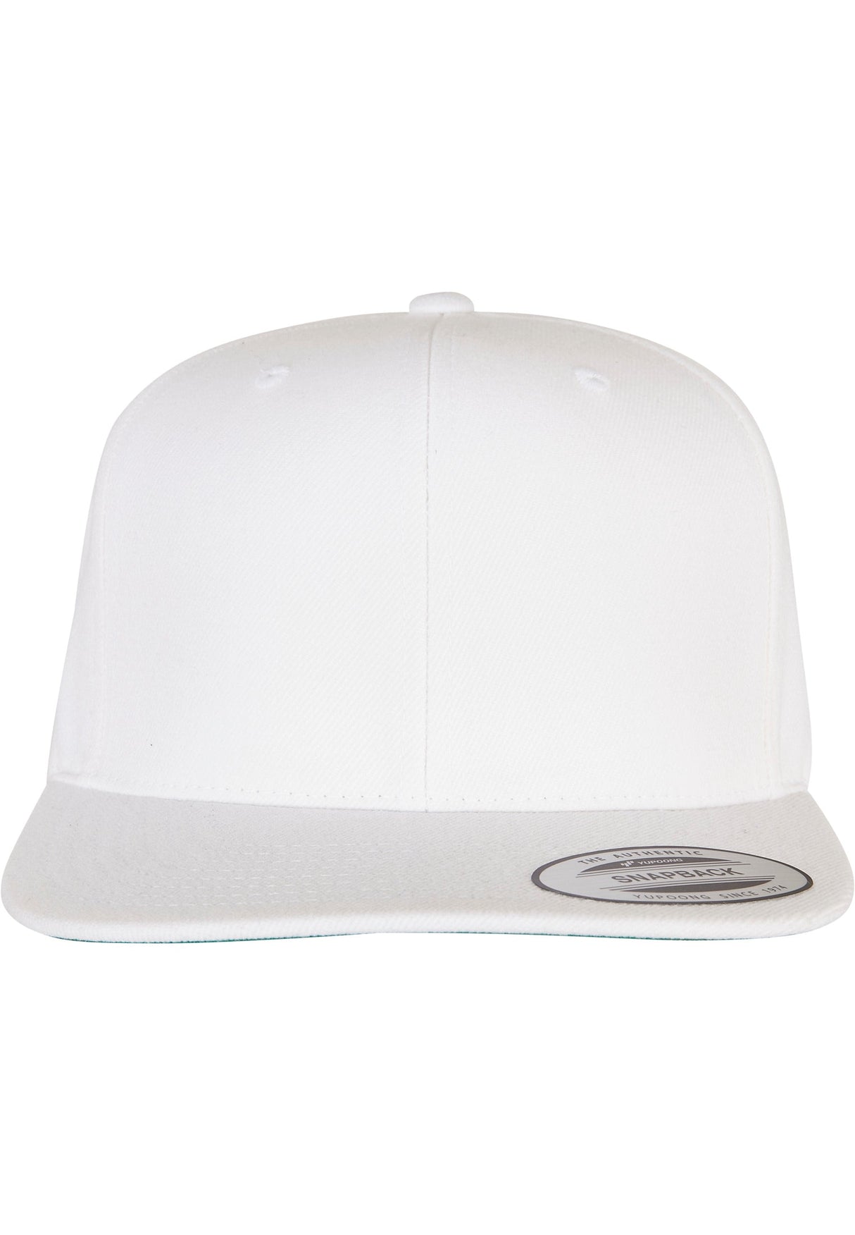 Flexfit By Yupoong The Classic Snapback (6089M)