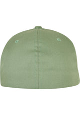 Flexfit By Yupoong Flexfit Fitted Baseball Cap (6277)