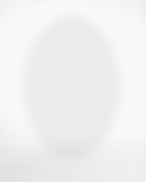 Load video: Blaklader Women&#39;s craftsman shorts X1900 stretch