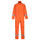 #colour_orange